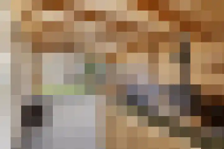 Koraalzwam 16 Veenendaal thumbnail 27