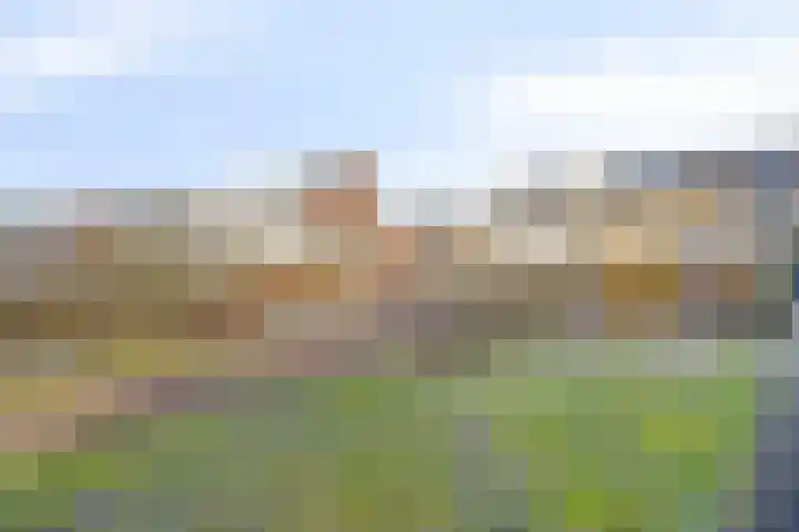 Koraalzwam 16 Veenendaal thumbnail 29