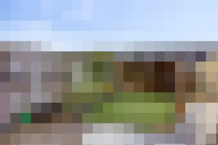 Koraalzwam 16 Veenendaal thumbnail 4
