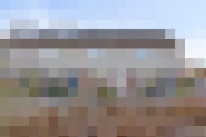 Koraalzwam 16 Veenendaal thumbnail 5