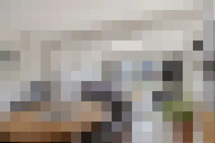 Koraalzwam 16 Veenendaal thumbnail 7