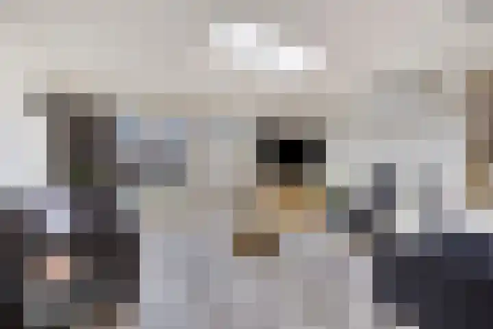 Koraalzwam 16 Veenendaal thumbnail 8