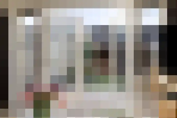Koraalzwam 16 Veenendaal thumbnail 9
