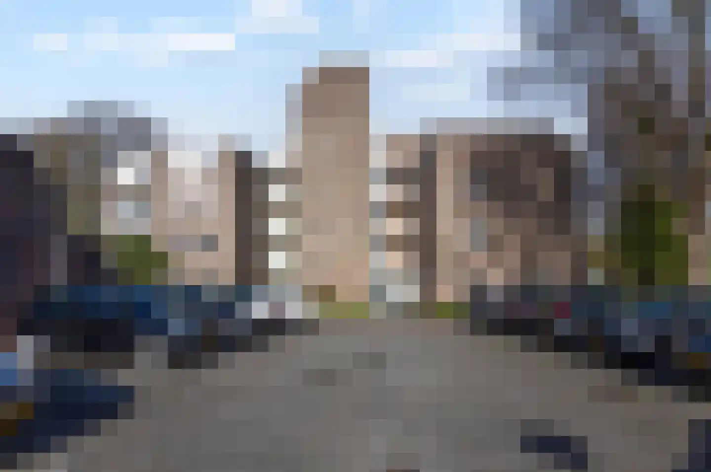 Koraalzwam 167 Alphen aan den Rijn foto 2