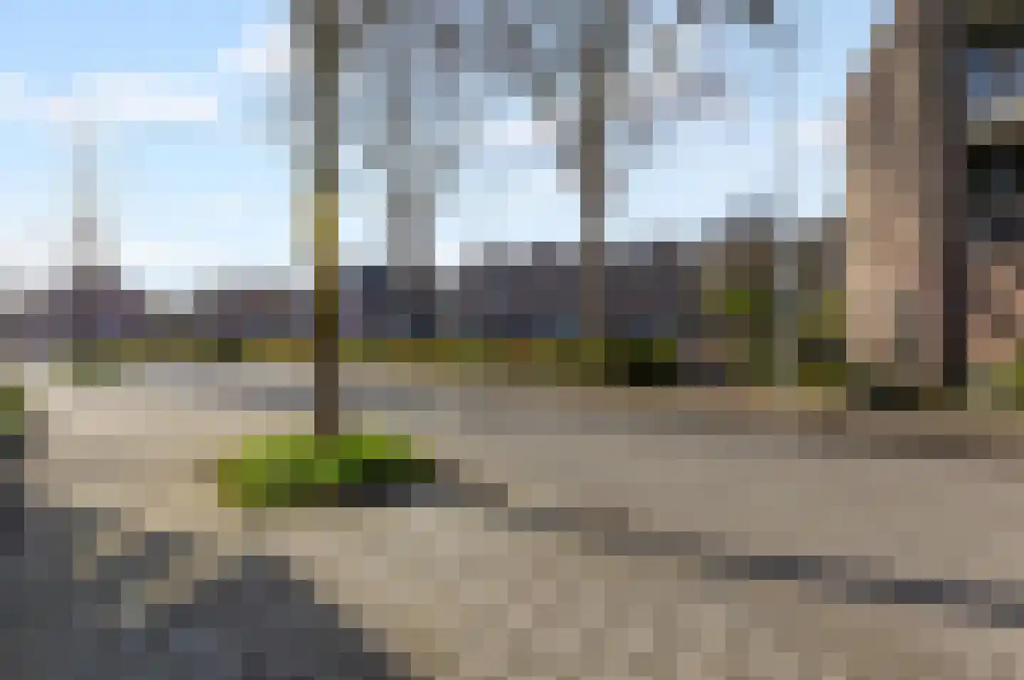 Koraalzwam 167 Alphen aan den Rijn thumbnail 30