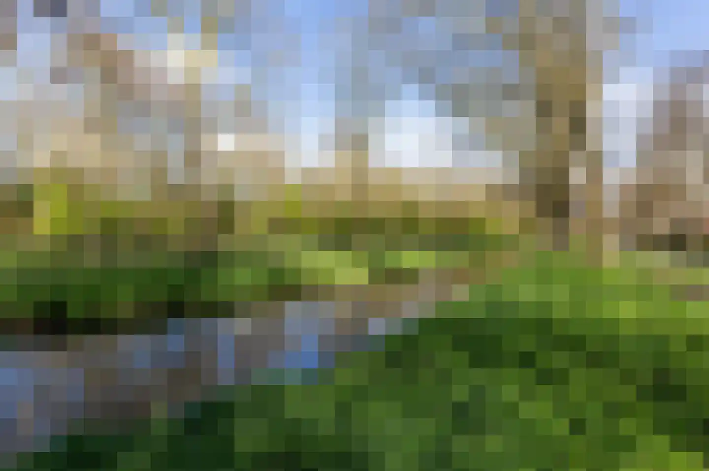 Koraalzwam 167 Alphen aan den Rijn thumbnail 31