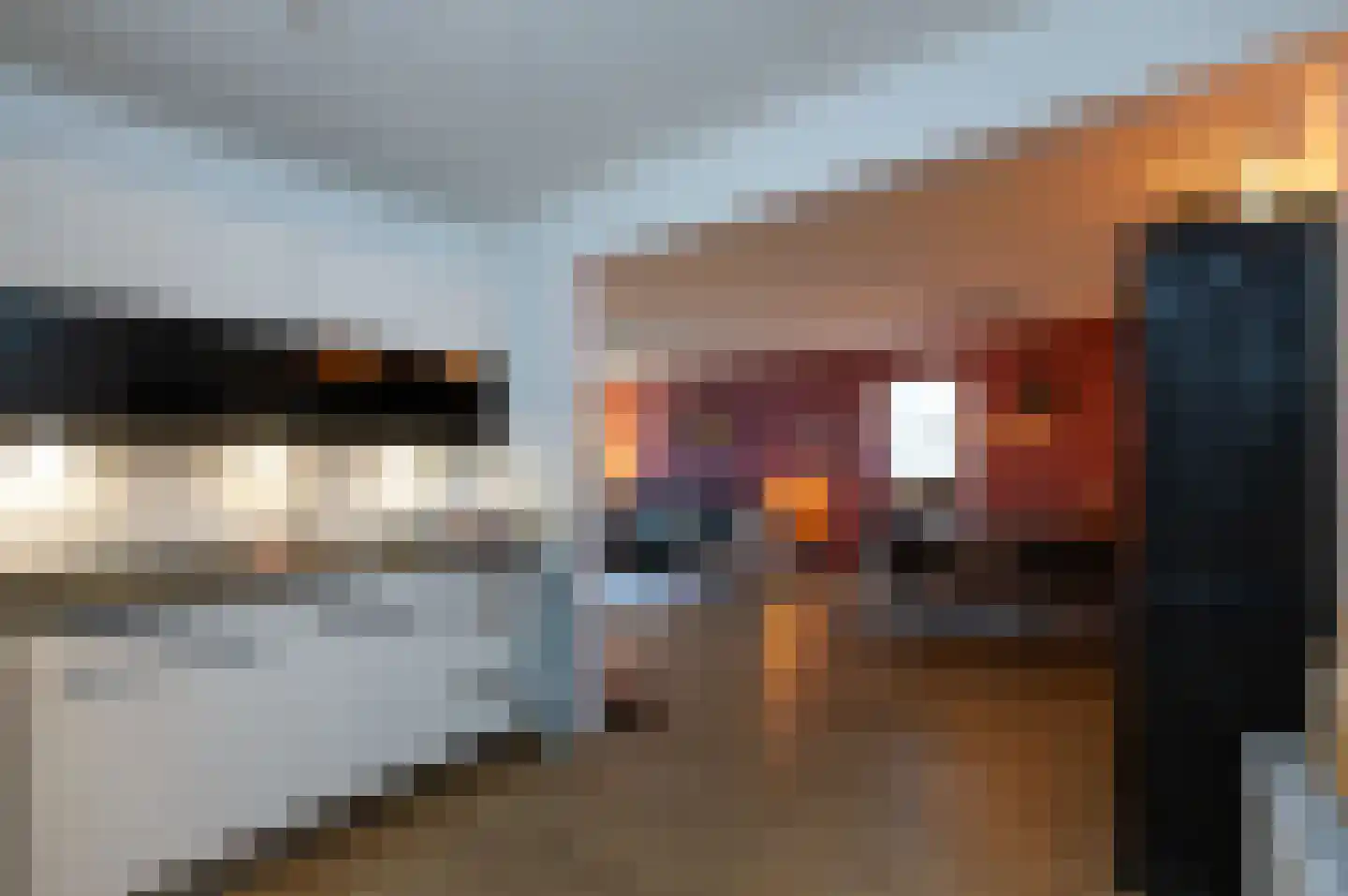 Koraalzwam 167 Alphen aan den Rijn thumbnail 7