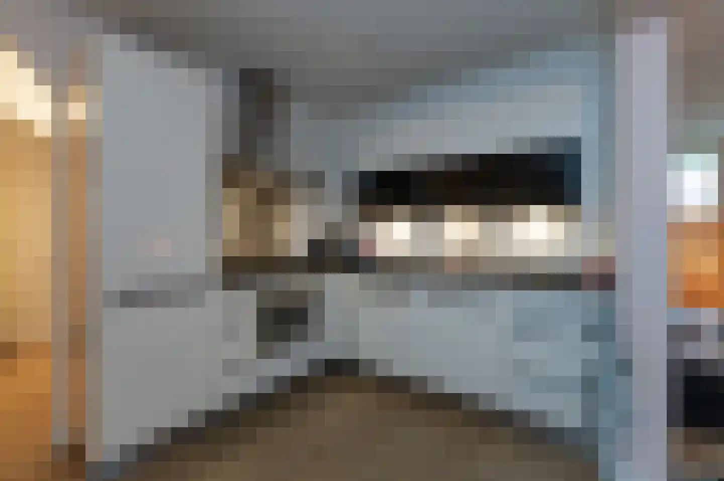 Koraalzwam 167 Alphen aan den Rijn thumbnail 8