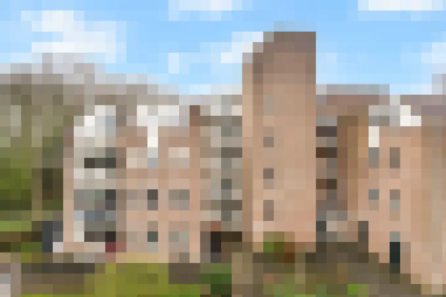 Koraalzwam 187 Alphen aan den Rijn foto 2