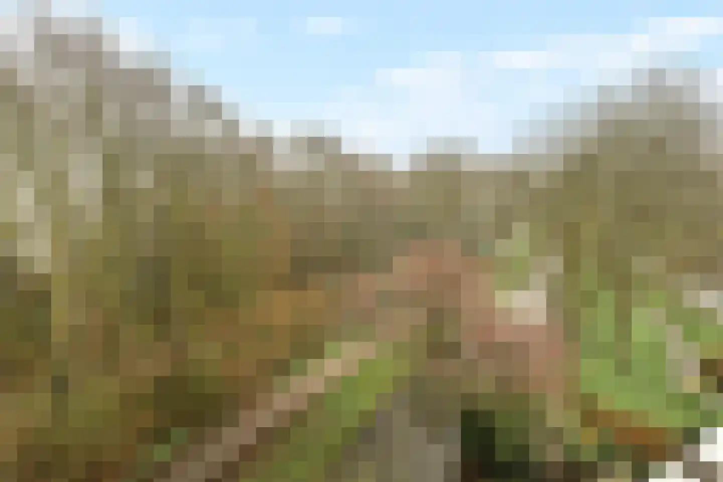 Koraalzwam 187 Alphen aan den Rijn thumbnail 21