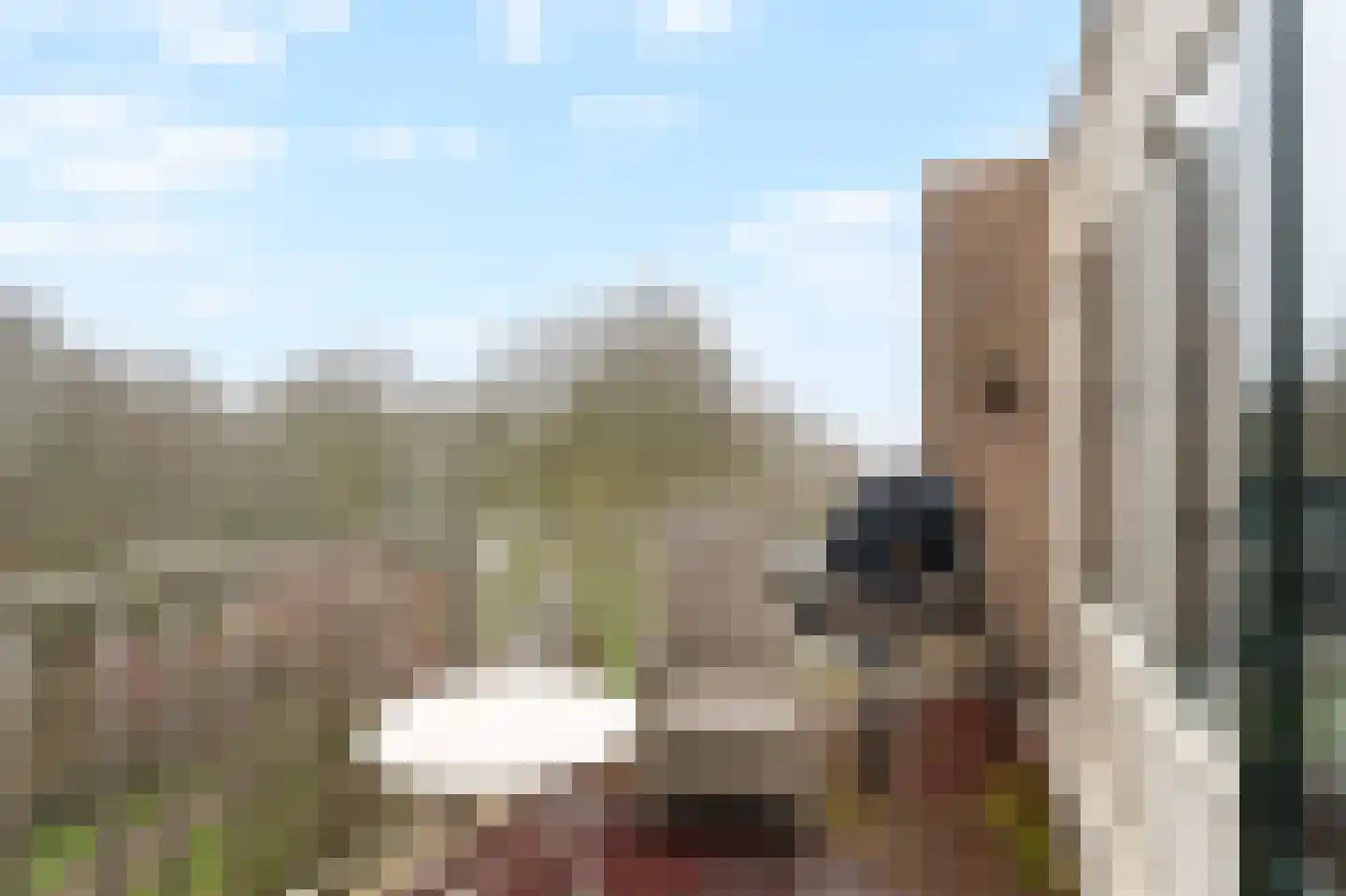 Koraalzwam 187 Alphen aan den Rijn thumbnail 22