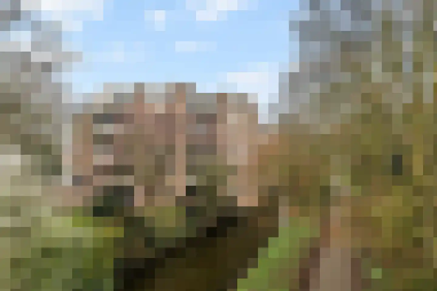 Koraalzwam 187 Alphen aan den Rijn thumbnail 27