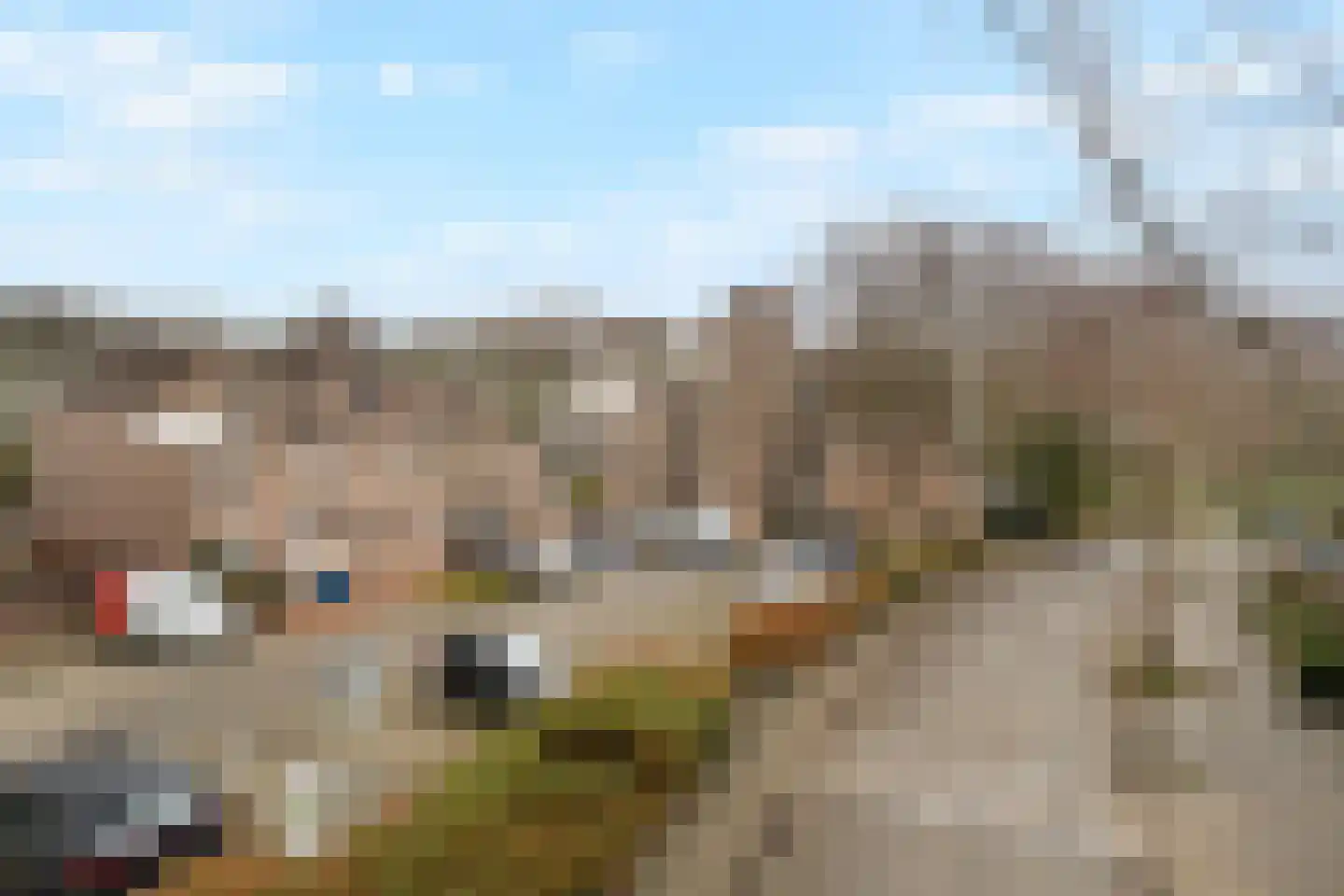Koraalzwam 187 Alphen aan den Rijn thumbnail 28
