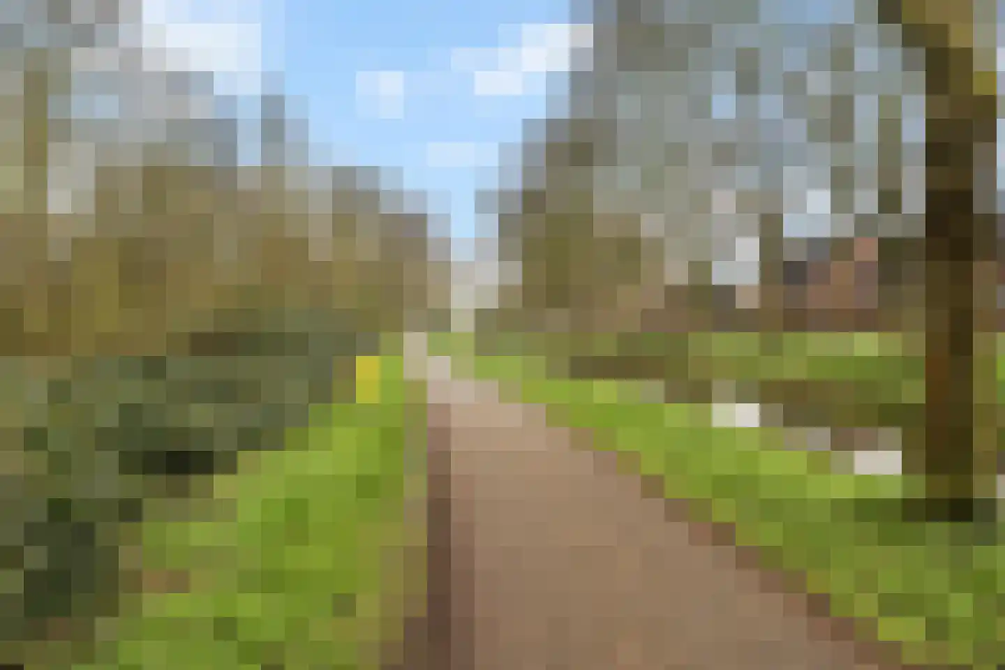 Koraalzwam 187 Alphen aan den Rijn thumbnail 29