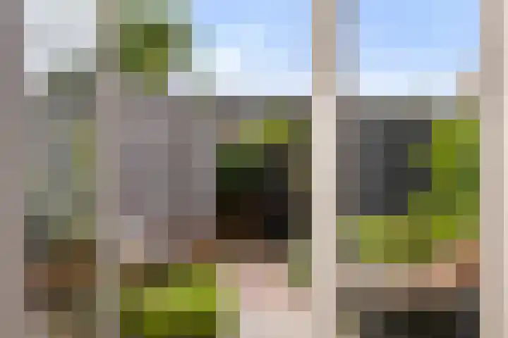 Koraalzwam 20 Apeldoorn thumbnail 10