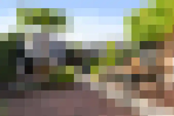 Koraalzwam 20 Apeldoorn thumbnail 11