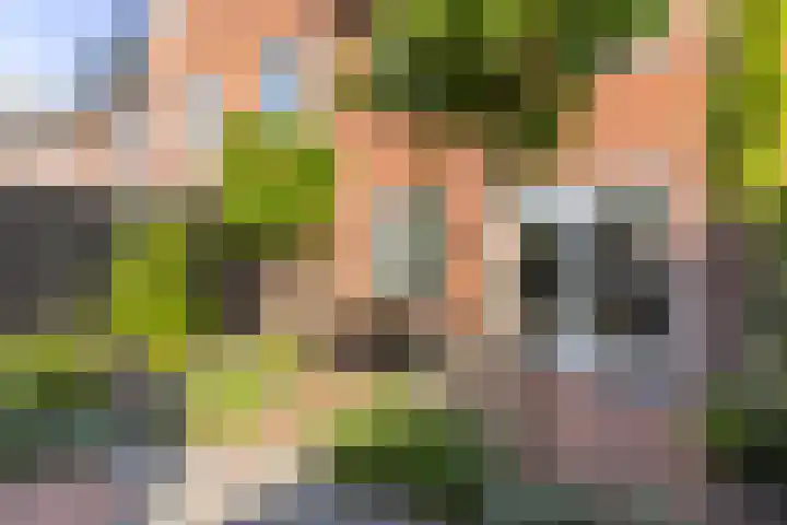 Koraalzwam 20 Apeldoorn thumbnail 13