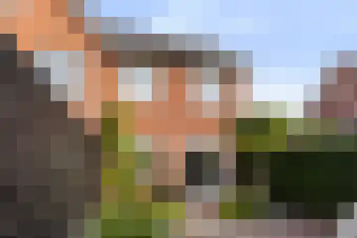 Koraalzwam 20 Apeldoorn thumbnail 16