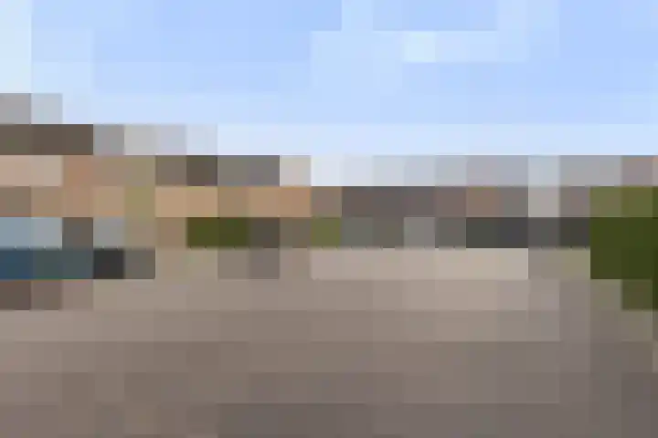 Koraalzwam 20 Apeldoorn thumbnail 19