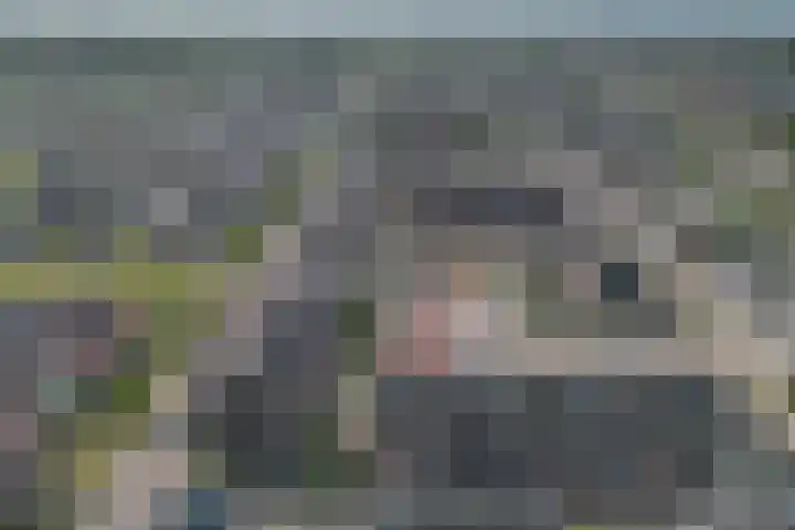 Koraalzwam 20 Apeldoorn thumbnail 21
