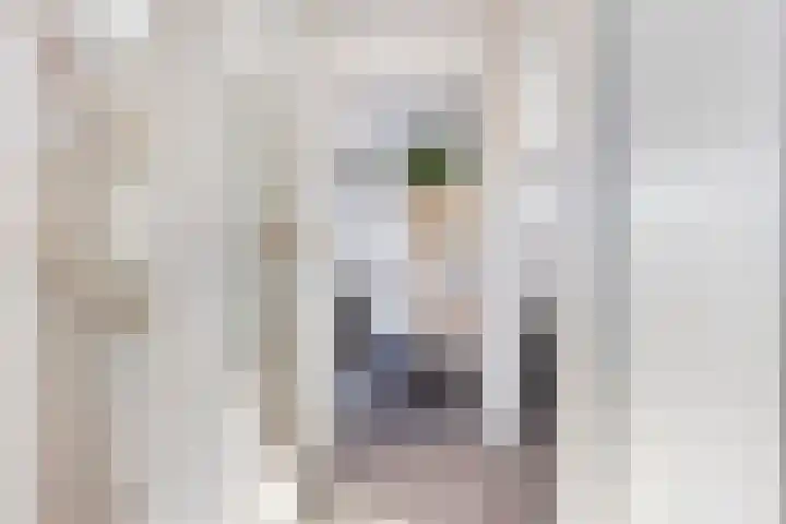 Koraalzwam 20 Apeldoorn thumbnail 24