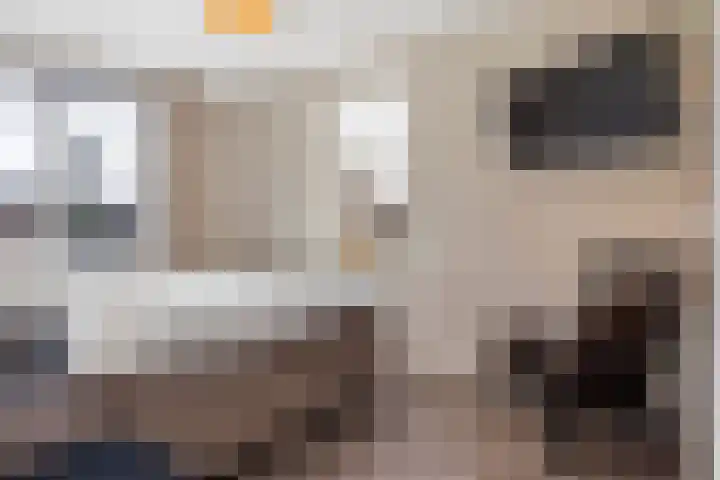 Koraalzwam 20 Apeldoorn thumbnail 25