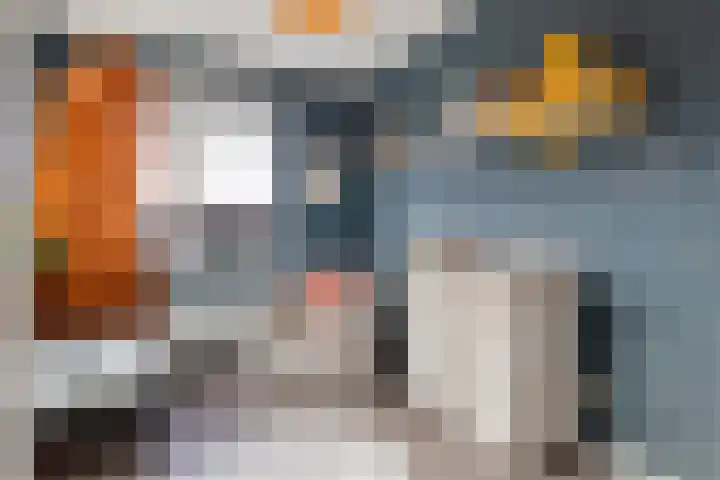 Koraalzwam 20 Apeldoorn thumbnail 27