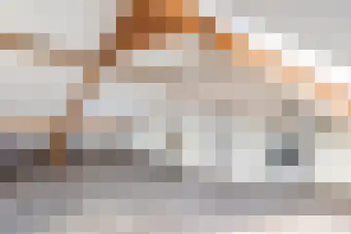 Koraalzwam 20 Apeldoorn thumbnail 33