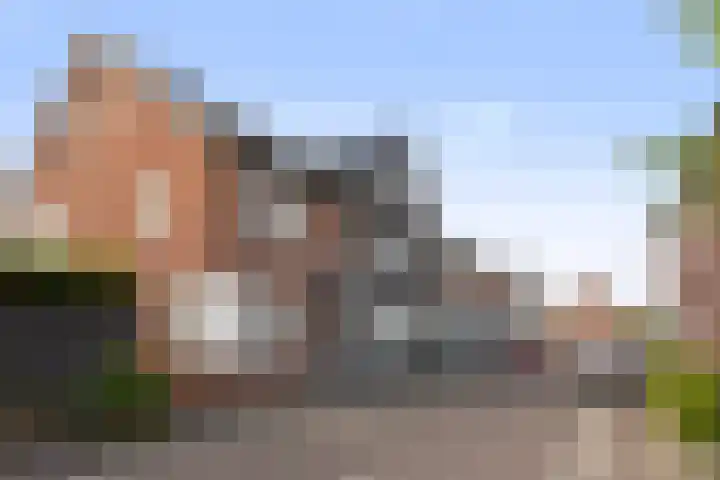 Koraalzwam 20 Apeldoorn thumbnail 36
