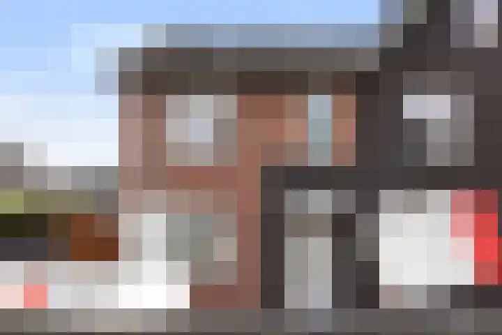 Koraalzwam 20 Apeldoorn thumbnail 44