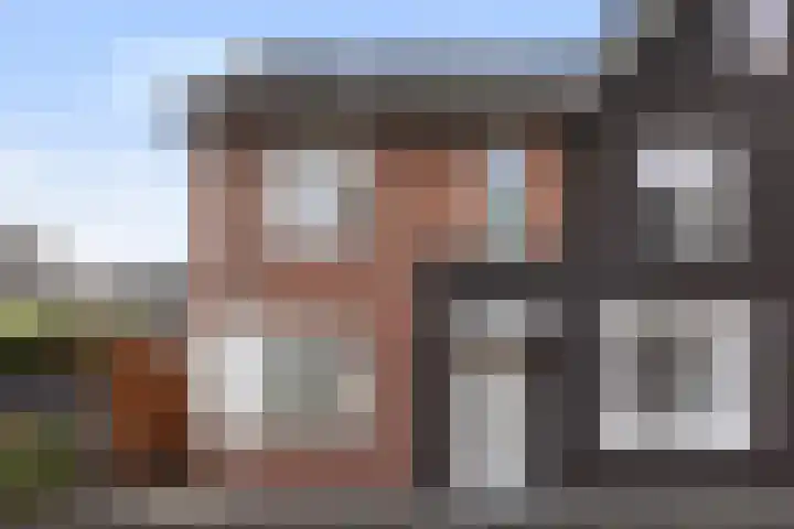 Koraalzwam 20 Apeldoorn thumbnail 45