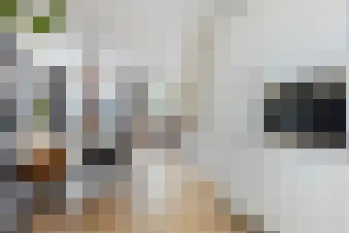 Koraalzwam 20 Apeldoorn thumbnail 6