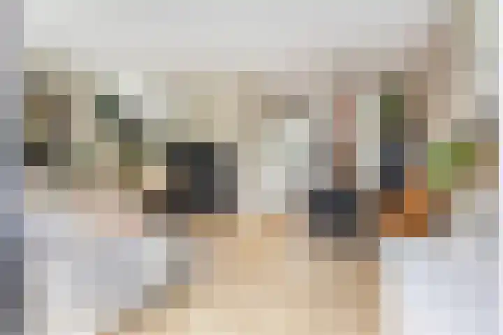 Koraalzwam 20 Apeldoorn thumbnail 9