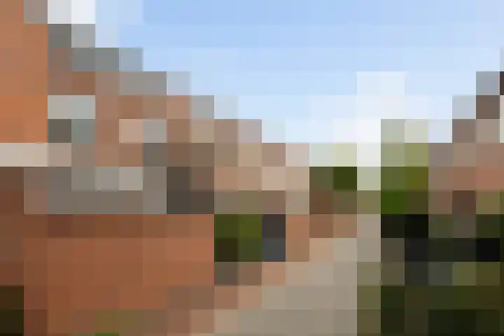 Koraalzwam 21 Alphen aan den Rijn thumbnail 10