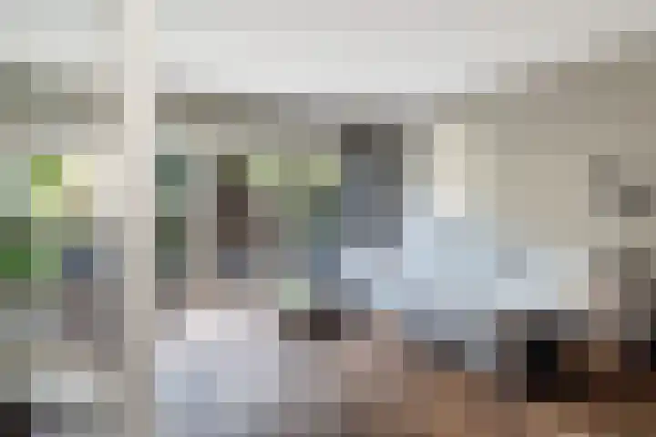 Koraalzwam 21 Alphen aan den Rijn thumbnail 17
