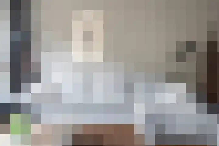 Koraalzwam 21 Alphen aan den Rijn thumbnail 18