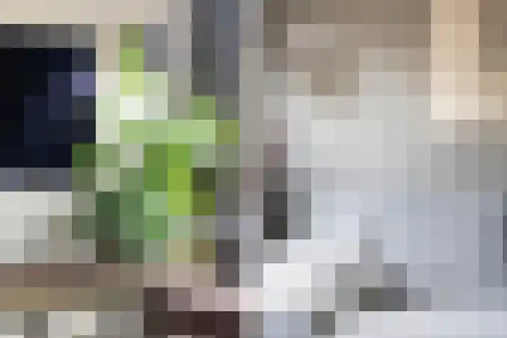 Koraalzwam 21 Alphen aan den Rijn thumbnail 20