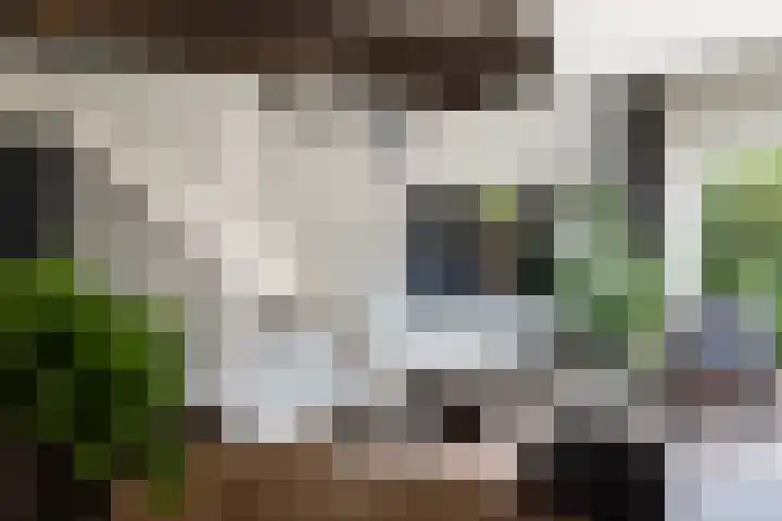Koraalzwam 21 Alphen aan den Rijn thumbnail 22