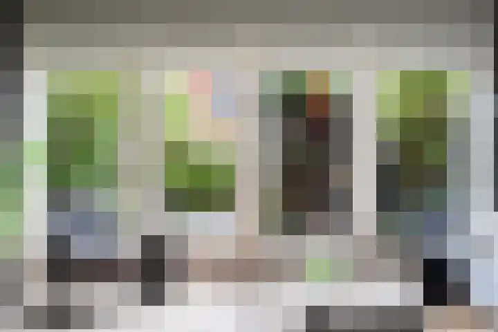 Koraalzwam 21 Alphen aan den Rijn thumbnail 23
