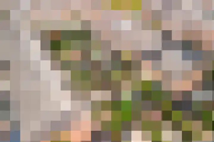 Koraalzwam 21 Alphen aan den Rijn thumbnail 30