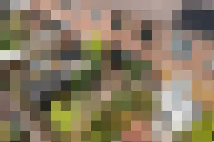 Koraalzwam 21 Alphen aan den Rijn thumbnail 31
