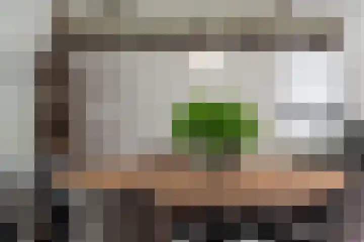 Koraalzwam 21 Alphen aan den Rijn thumbnail 34