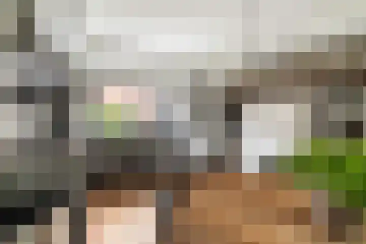Koraalzwam 21 Alphen aan den Rijn thumbnail 35