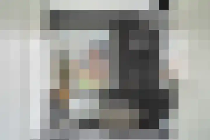 Koraalzwam 21 Alphen aan den Rijn thumbnail 41