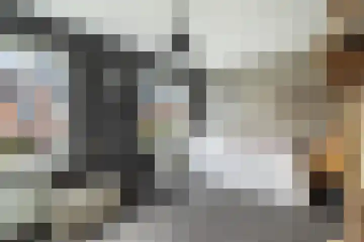 Koraalzwam 21 Alphen aan den Rijn thumbnail 42