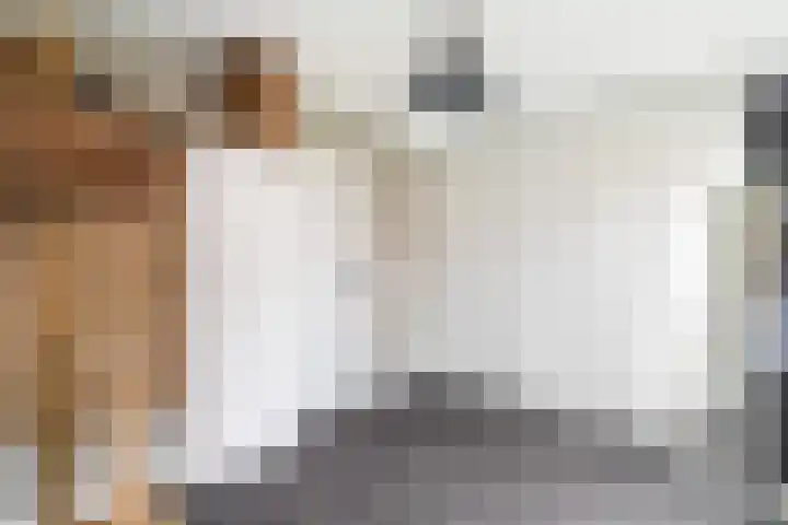 Koraalzwam 21 Alphen aan den Rijn thumbnail 43