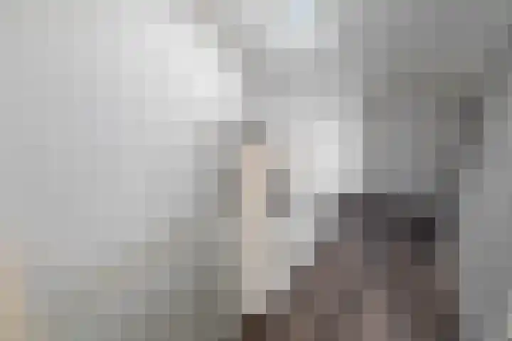 Koraalzwam 21 Alphen aan den Rijn thumbnail 49