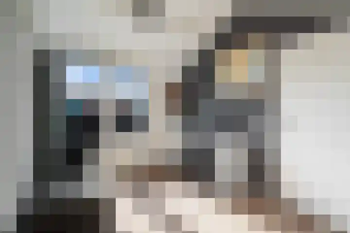 Koraalzwam 21 Alphen aan den Rijn thumbnail 52