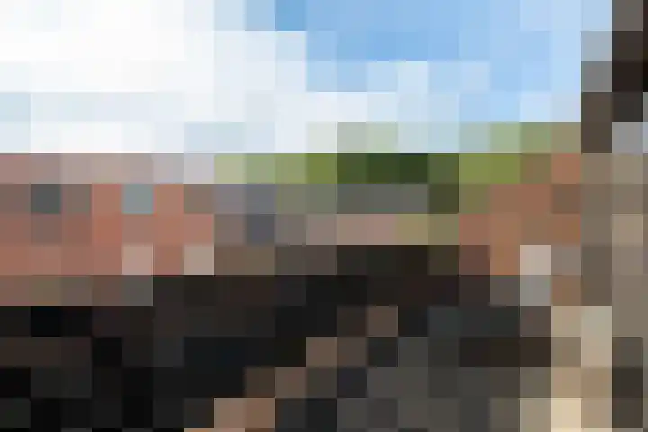 Koraalzwam 21 Alphen aan den Rijn thumbnail 53