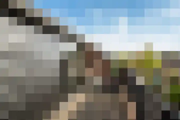 Koraalzwam 21 Alphen aan den Rijn thumbnail 54